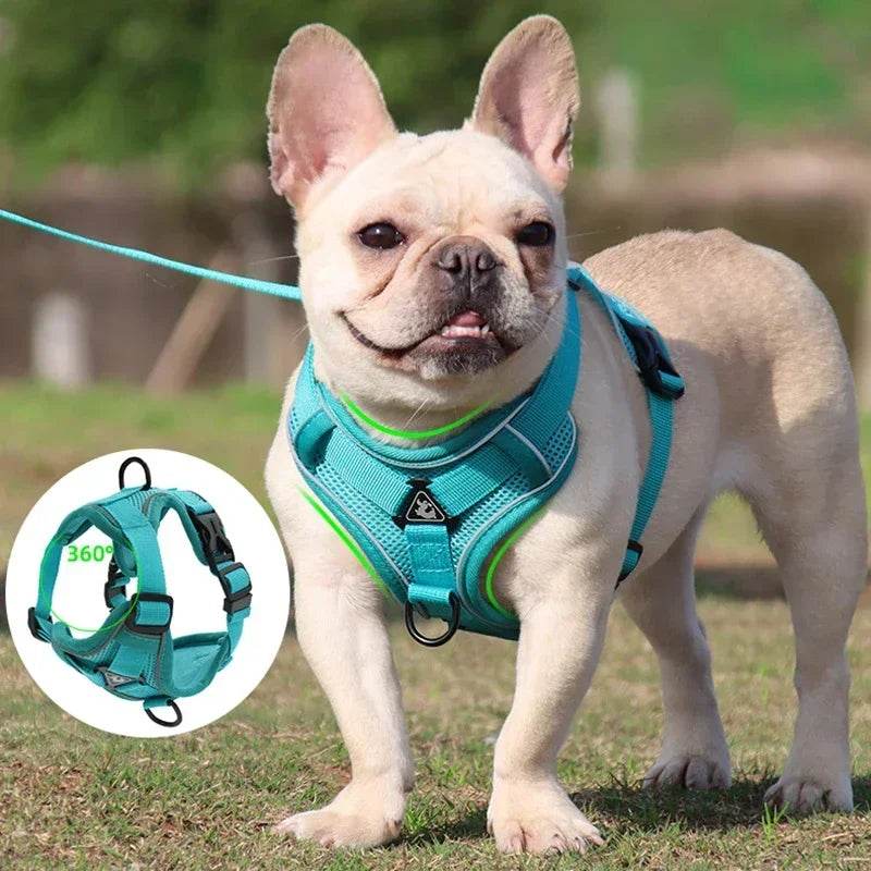 No Pull Dog Harness and Leash Set for Small Dogs Cats - Estalios