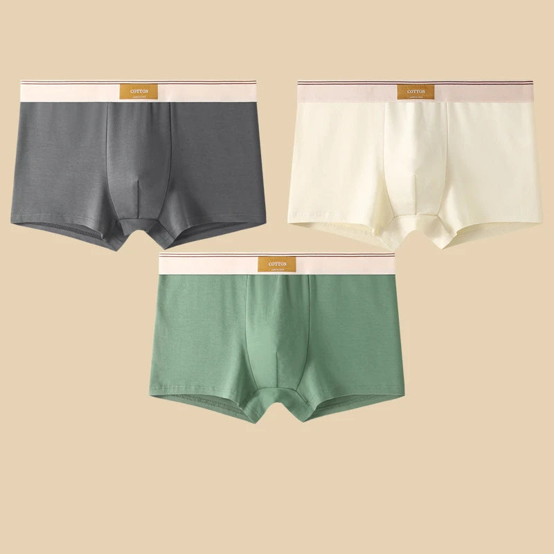 Comfortable 3Pcs Men's Cotton Boxer Shorts Underwear