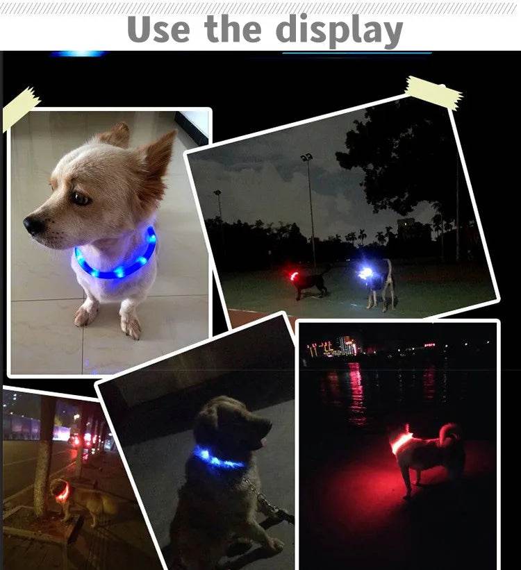 LED Luminous Dog Collar Waterproof USB Light for Night Safety - Estalios