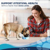 Active Dog Intestinal 22lb for Healthy Digestion - Estalios