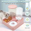 Automatic Cat Feeder Water Dispenser Set 2 In 1 Tilted Feeder - Estalios