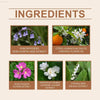 Bellflower Perfume For Women Fresh Elegant Floral Fragrance - Estalios