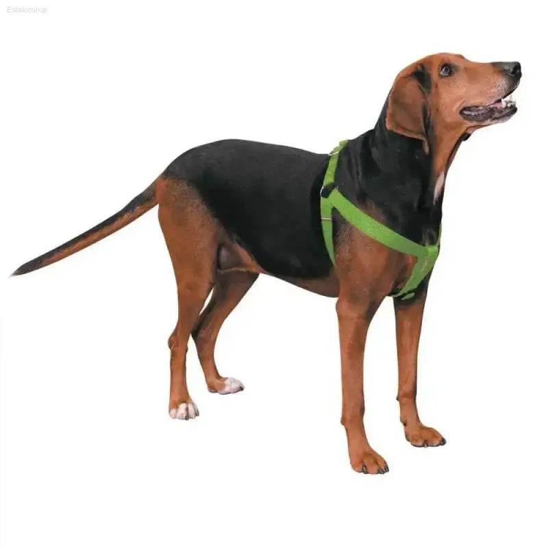 Brave Brown Tactical Doggo in Green Harness! Ready for Anything, this Brown and Black Dog Sports a Cool Green Harness, Making Him the Ultimate Adventure Buddy - Estalios