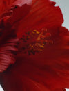 πΊ Captivating Aroma β Jo Malone London Red Hibiscus Cologne Intense | Luxurious Fragrance for All-Day Elegance - 9 ml