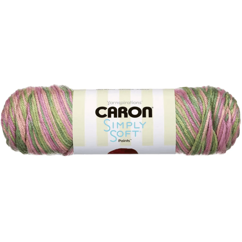 Caron Simply Soft Paints Yarn Rose Garden 2 Skeins Set - Estalios