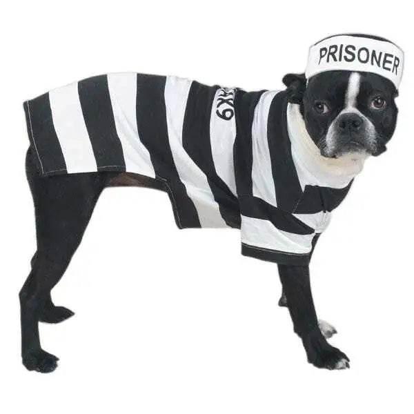 Casual Canine Prison Pooch Costumes XL for Fun Dress-Up - Estalios