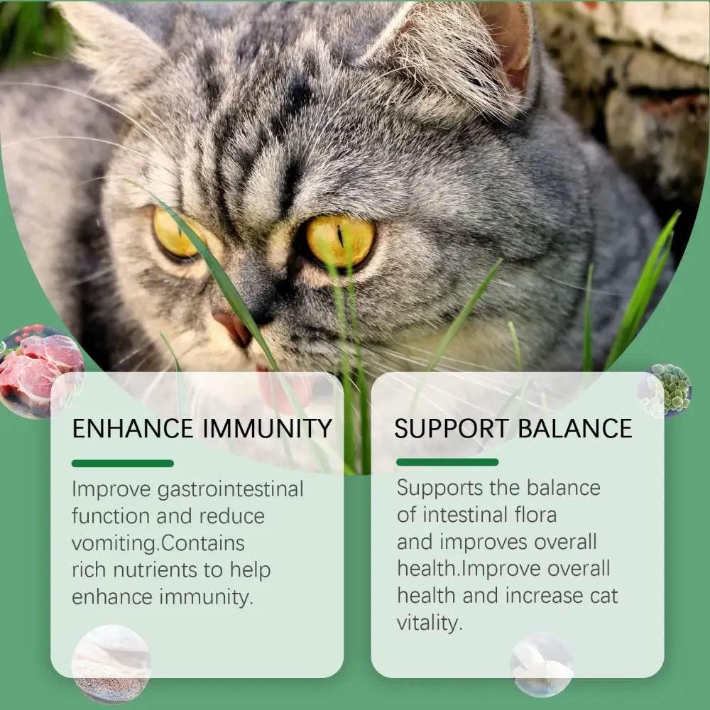 Cat Grass Tablets For Healthy Pets Rich In Fiber - Estalios