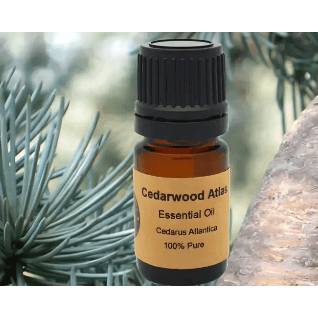 Energizing Amber Atlas Cedarwood Essential Oil for Wellness - Estalios