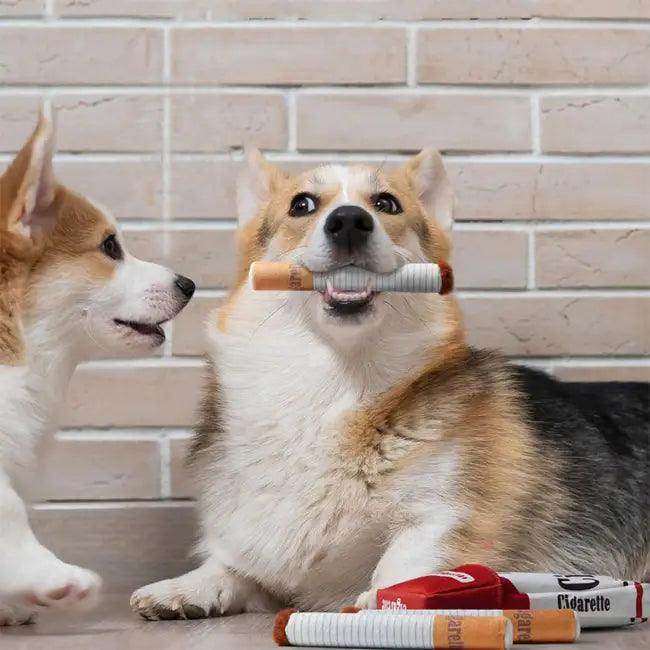 Cigarette Plush Dog Toys for Endless Fun Playtime - Estalios