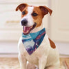 Comfortable Pet Scarf for Fashionable Daily Wear - Estalios