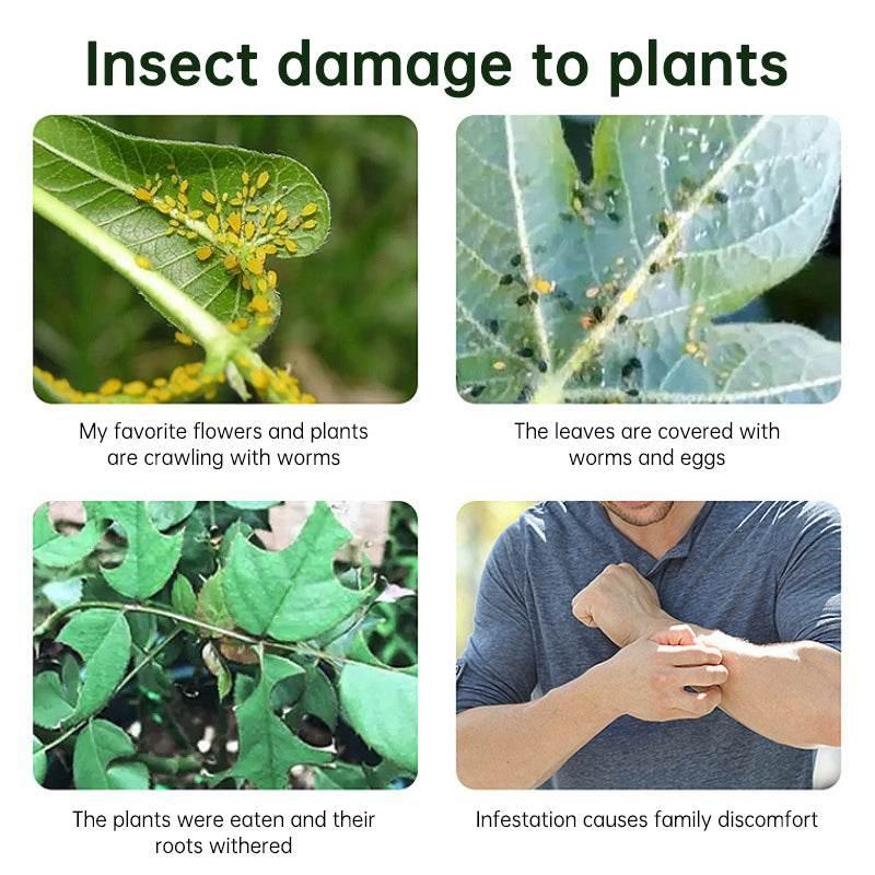 Conquer Pests with Our Insecticidal Emulsion Spray! - Estalios