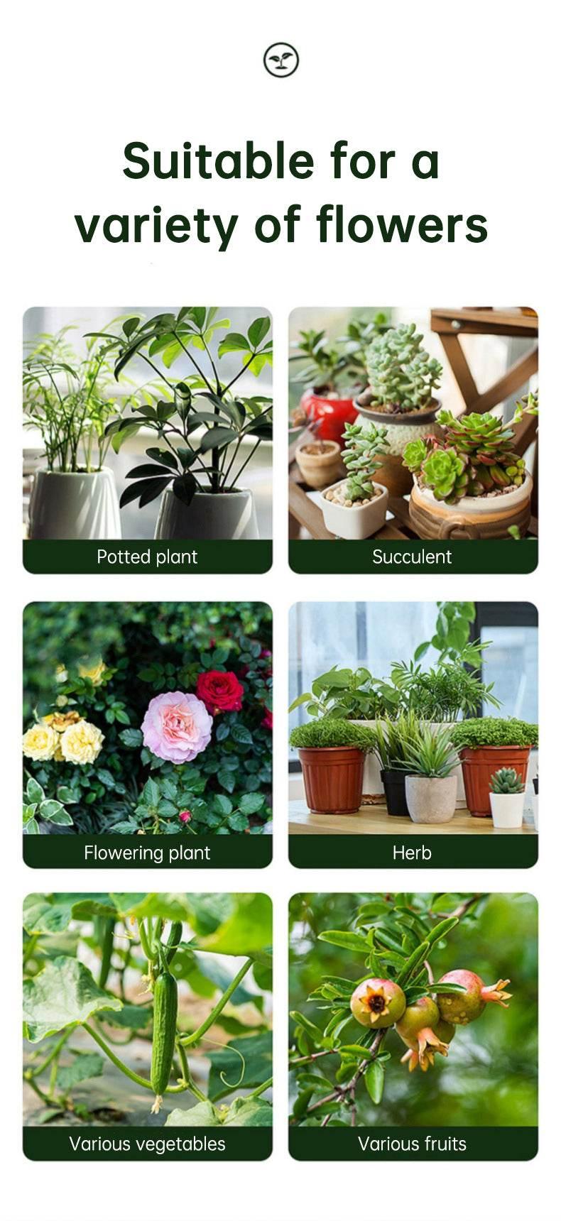 Conquer Pests with Our Insecticidal Emulsion Spray! - Estalios