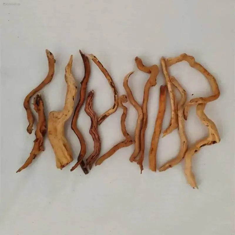Creative Micro-Landscape Rattan Driftwood Aquarium Decor - Estalios