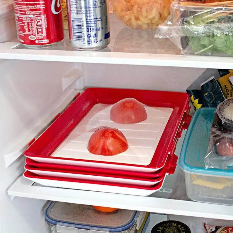 Creative Reusable Food Storage Tray - 2 Trays for Fridge - Estalios