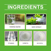 Dietary Supplements For Dogs To Promote Health And Recovery - Estalios