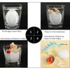 Dinosaur egg hatching instructions.