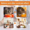 Hemp Seed Oil Cat And Dog Care Essence for Anxiety Relief - Estalios