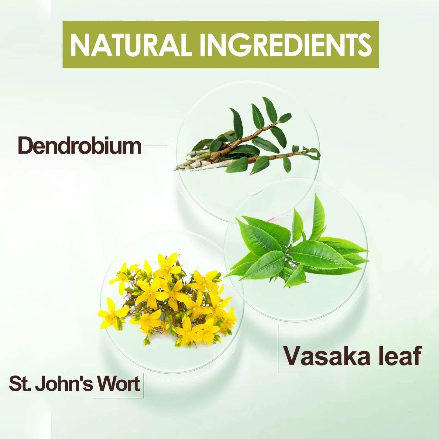 Herbal Oral Care Spray for Fresh Breath and Health - Estalios