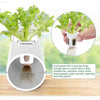 Hydroponic Planting System with 108 Sites and Timers - Estalios