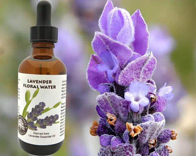Lavender Floral Water Dropper Bottle for Instant Calm - Estalios
