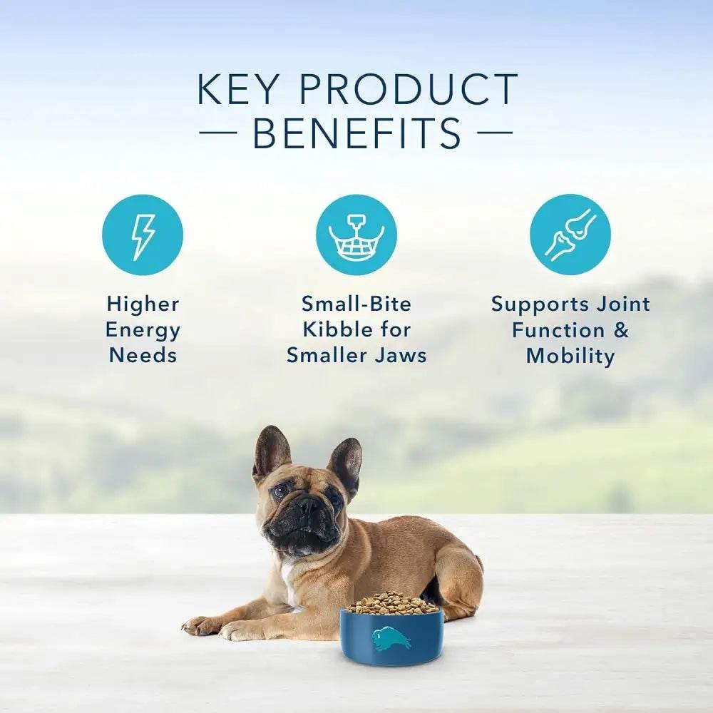 Life Protection Formula Natural Dry Dog Food for Small Breeds, Chicken and Brown Rice, 6 Lb - Estalios