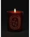 π―οΈ Luxurious Aroma β Diptyque Ambre Scented Candle 10.6 Oz | Perfect for Creating a Cozy Atmosphere - 10.6 oz