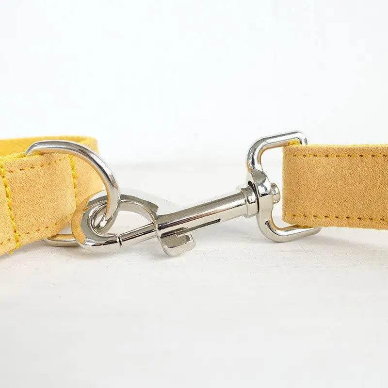 Nala Pet Dog Collar Traction Rope in Yellow Polyester - Estalios