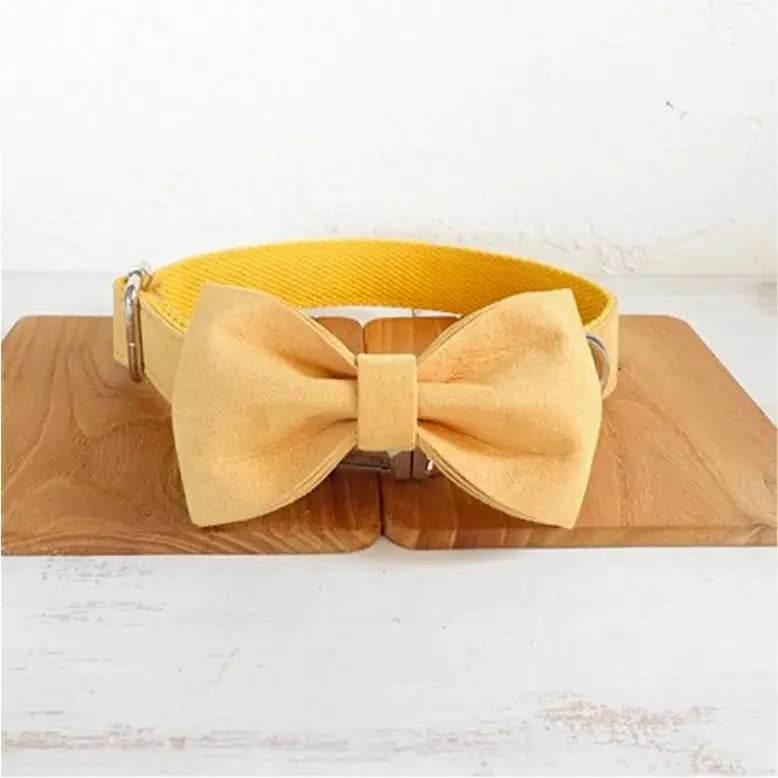 Nala Pet Dog Collar Traction Rope in Yellow Polyester - Estalios