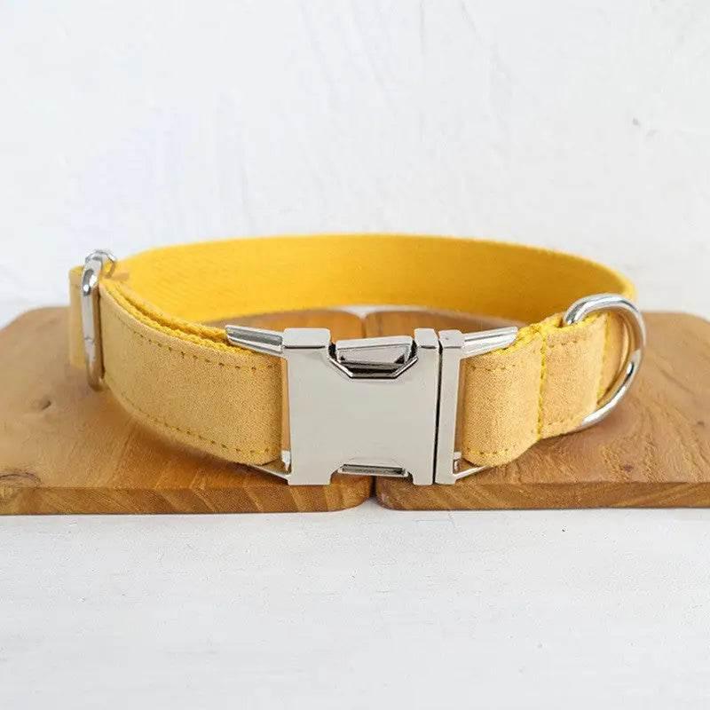 Nala Pet Dog Collar Traction Rope in Yellow Polyester - Estalios