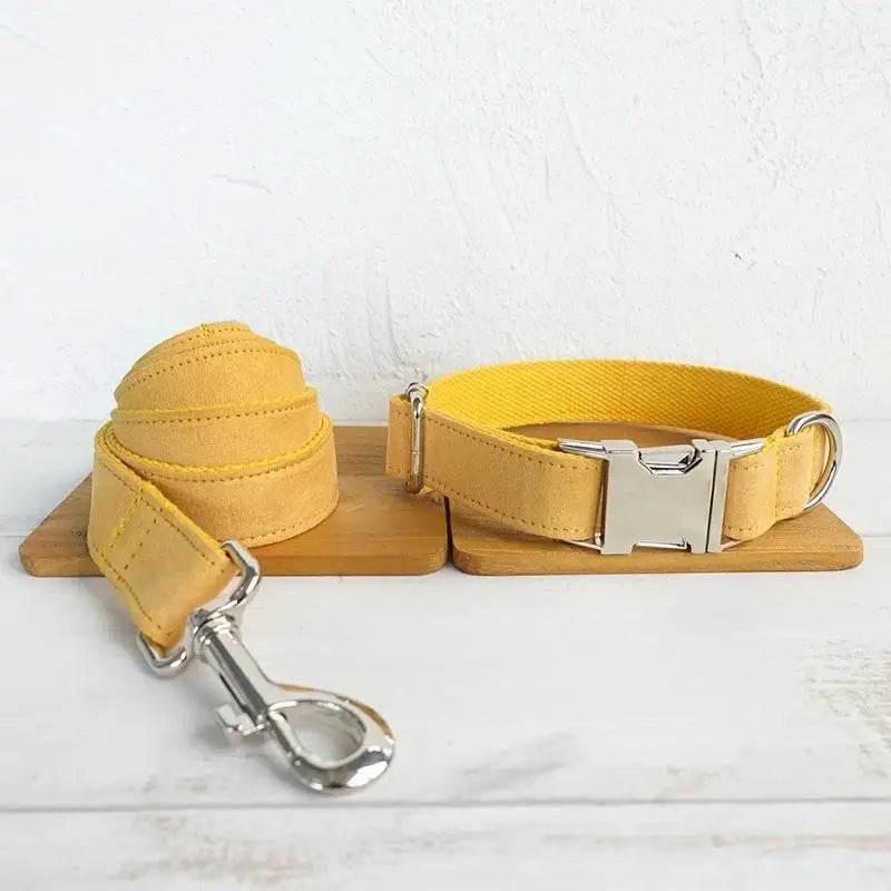 Nala Pet Dog Collar Traction Rope in Yellow Polyester - Estalios