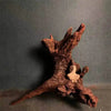 Natural Coral Driftwood for Aquariums - Large Decor Wood - Estalios