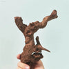 Natural Coral Driftwood for Aquariums - Large Decor Wood - Estalios