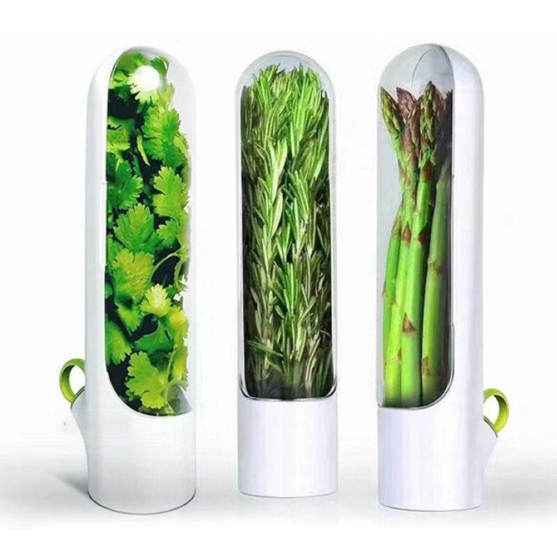 New Vanilla Preservation Cup for Fresh Vegetable Storage - Estalios