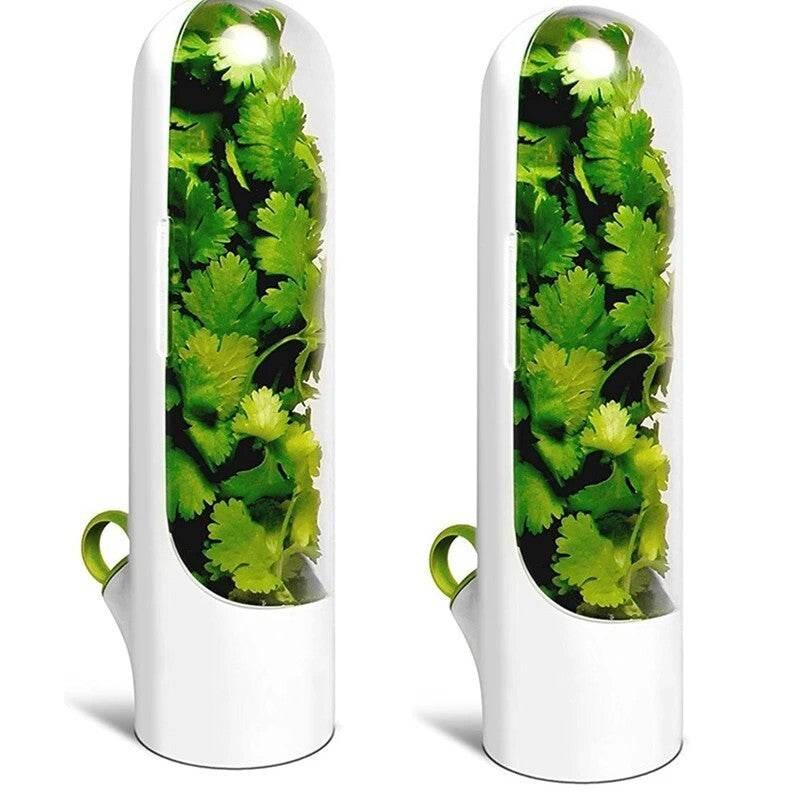 New Vanilla Preservation Cup for Fresh Vegetable Storage - Estalios