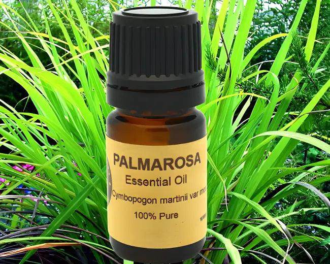 Palmarosa Power Unleash Natures Zest for Wellness - Estalios