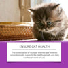 Pet Cat Vitamin Drops Care For Pets With Physical Discomfort - Estalios