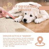 Pet Defecation Inducer Spot-Training Induction Spray - Estalios