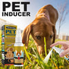 Pet Defecation Locator Spray for Easy Potty Training - Estalios