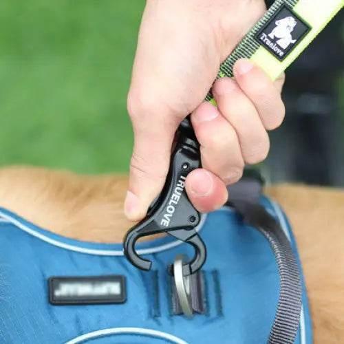 Pet Dog Leash With Elastic Cushioning For Outdoor Activities - Estalios