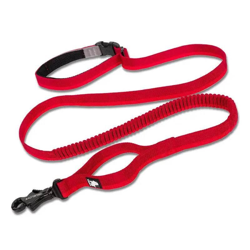 Pet Dog Leash With Elastic Cushioning For Outdoor Activities - Estalios
