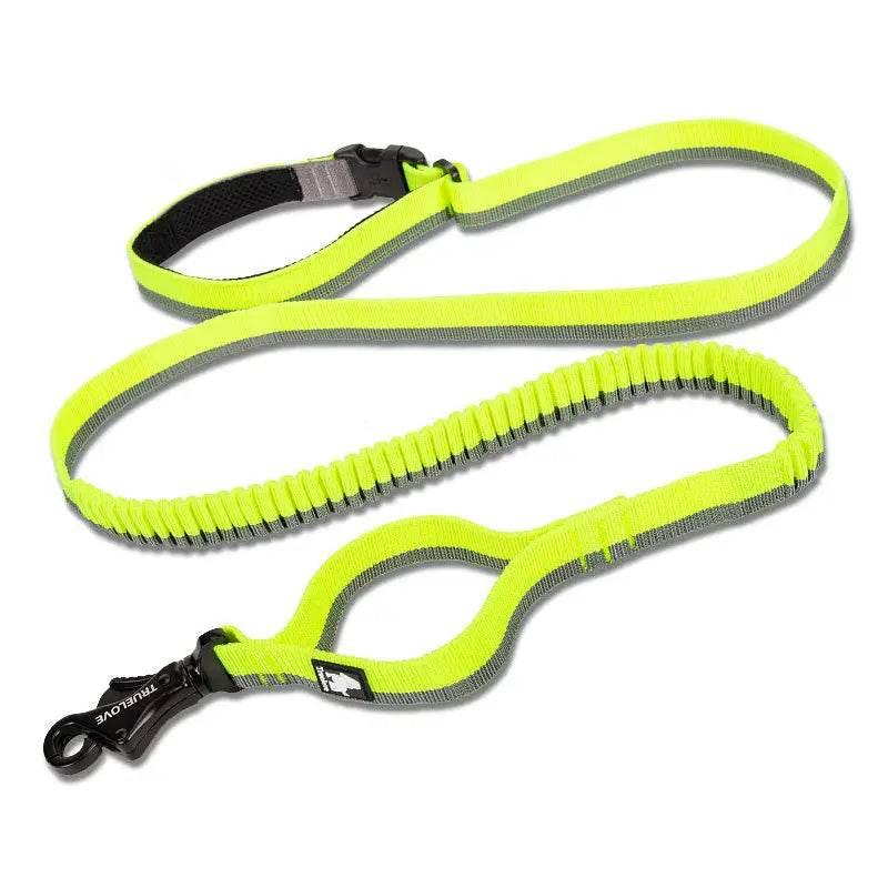 Pet Dog Leash With Elastic Cushioning For Outdoor Activities - Estalios