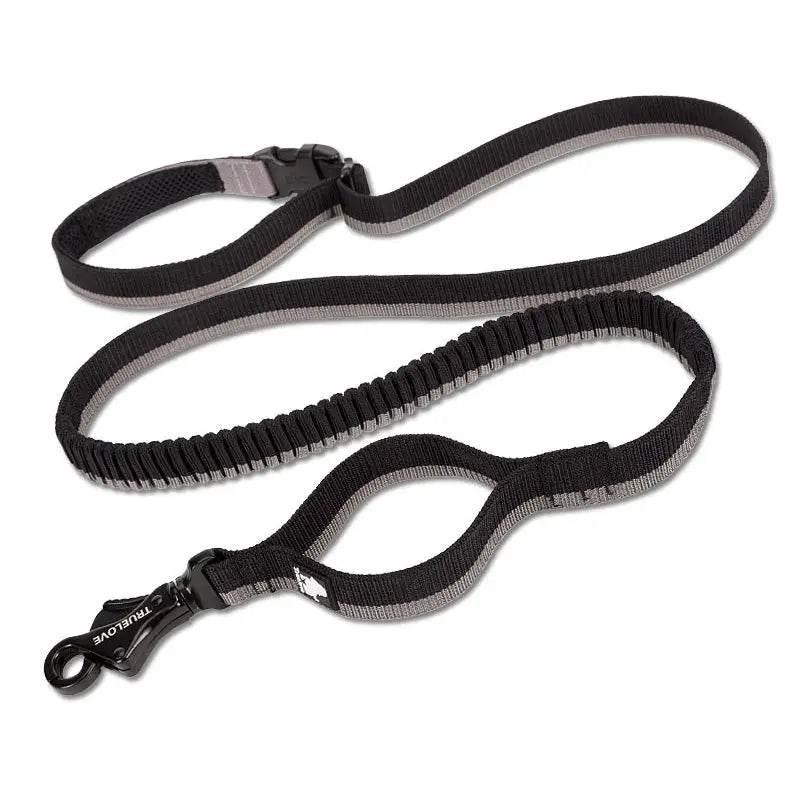 Pet Dog Leash With Elastic Cushioning For Outdoor Activities - Estalios