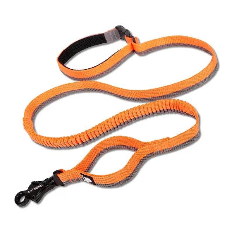 Pet Dog Leash With Elastic Cushioning For Outdoor Activities - Estalios