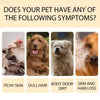Pet Shampoo For Gentle Cleansing Of Cat And Dog Hair - Estalios