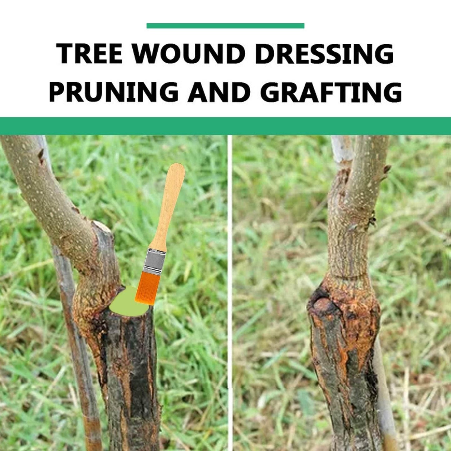Seedling Tree Wound Sealer for Fast Healing and Protection - Estalios