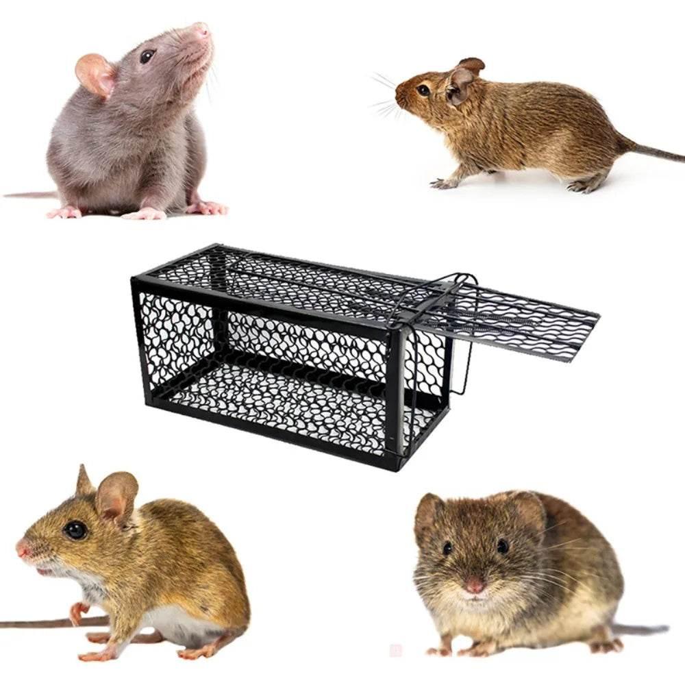 Self-Locking Trap Catcher for Effective Household Mouse Control - Estalios