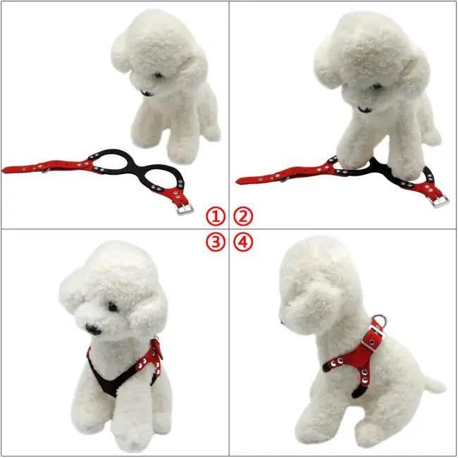 Pawsome Bold Adjustable Dog Harness for Stylish Adventures - Estalios