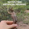 Spider Amphibian Terrarium Natural Driftwood Decor for Tanks - Estalios