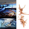 Spider Amphibian Terrarium Natural Driftwood Decor for Tanks - Estalios