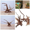 Spider Amphibian Terrarium Natural Driftwood Decor for Tanks - Estalios